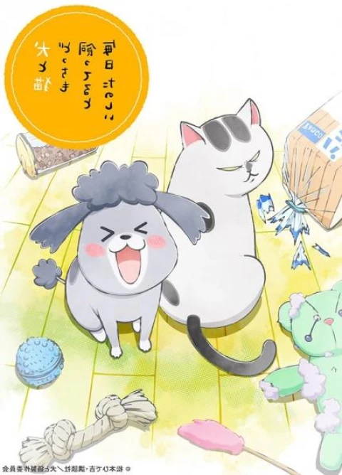 Inu to Neko Docchi mo Katteru to Mainichi Tanoshii