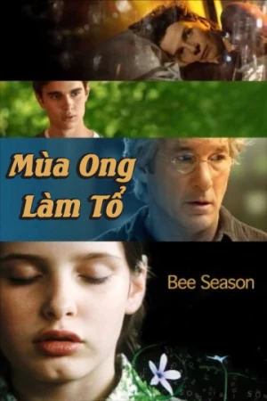 Xem phim Mùa Ong Làm Tổ