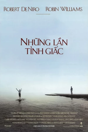 Xem phim Những Lần Tỉnh Giấc