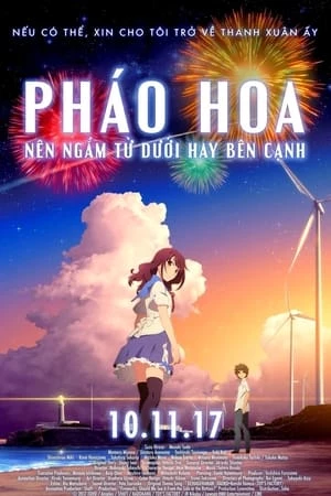 Pháo Hoa, Nên Ngắm Từ Dưới Hay Bên Cạnh?